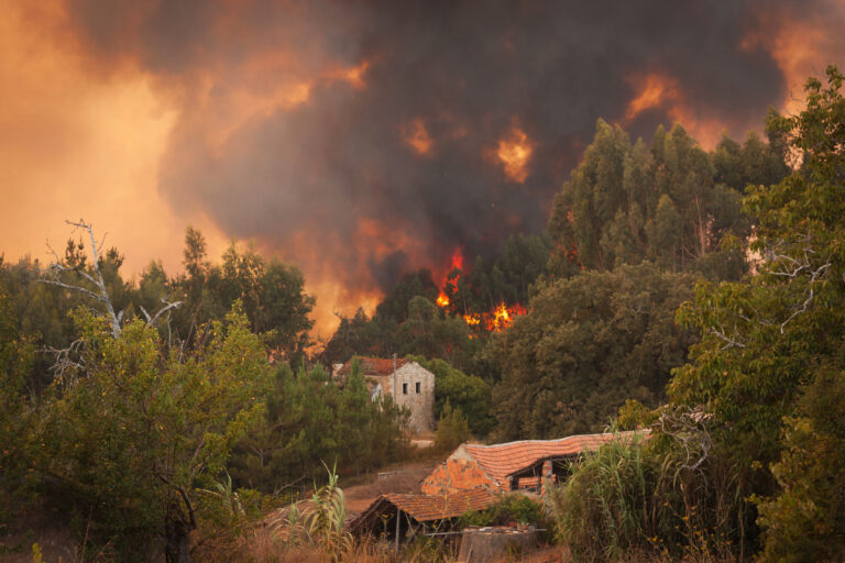 Why You Should Hire a California Wildfire Attorney for Claims on Property Losses