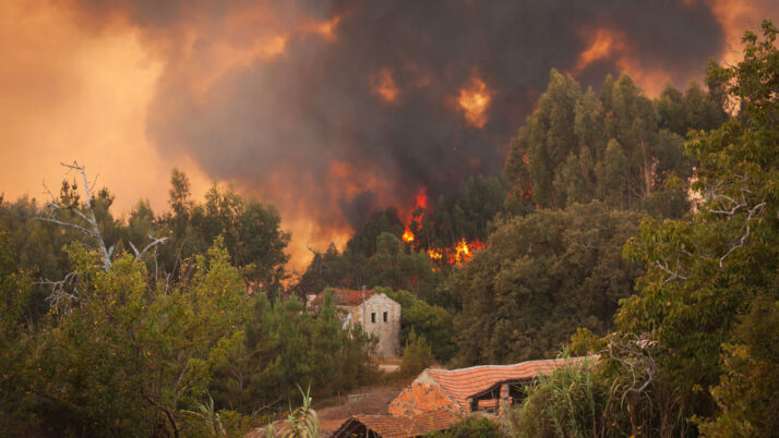 Why You Should Hire a California Wildfire Attorney for Claims on Property Losses